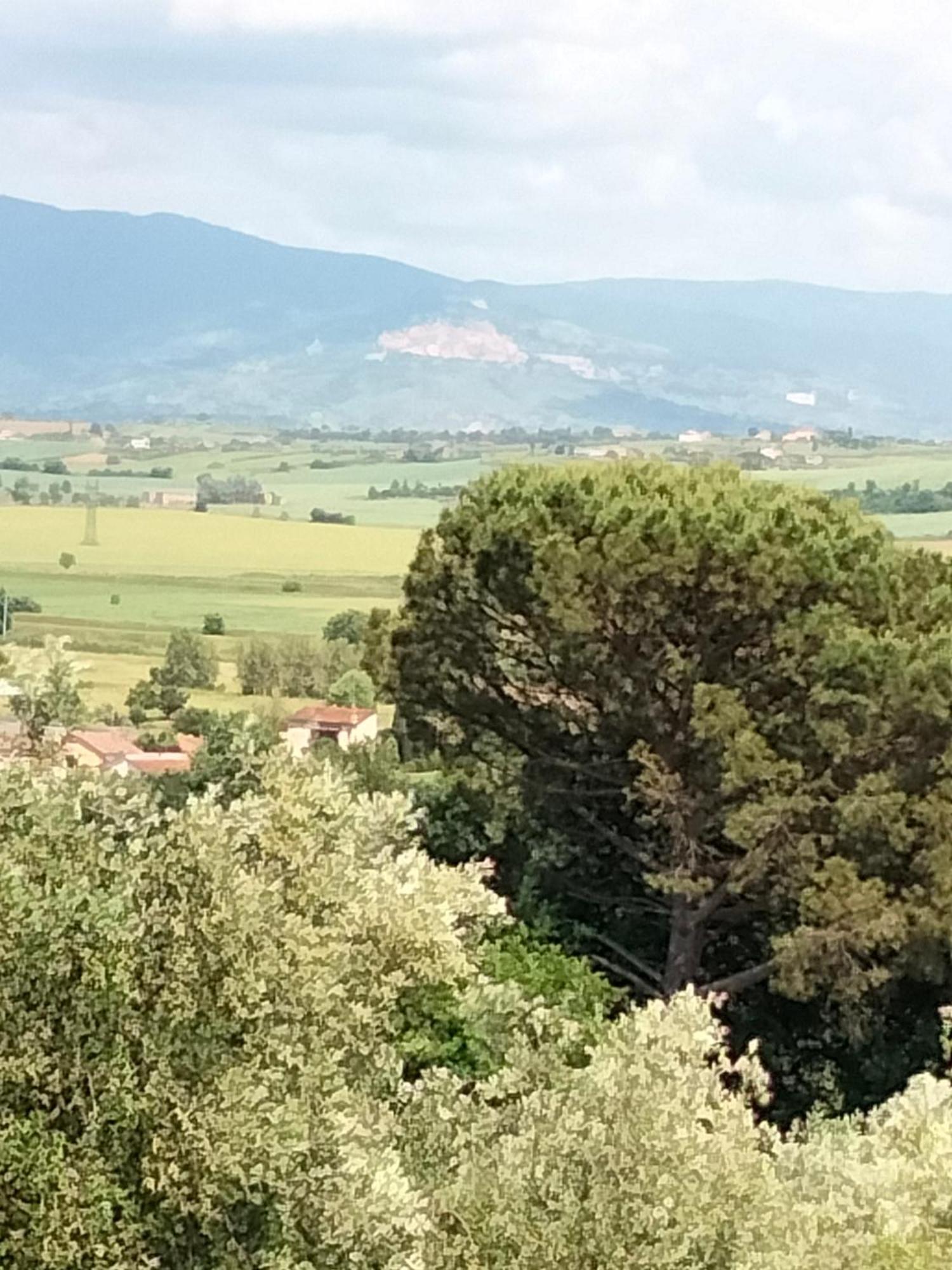 Villa Spaccasole Su Cortona Foiano Della Chiana Exterior photo